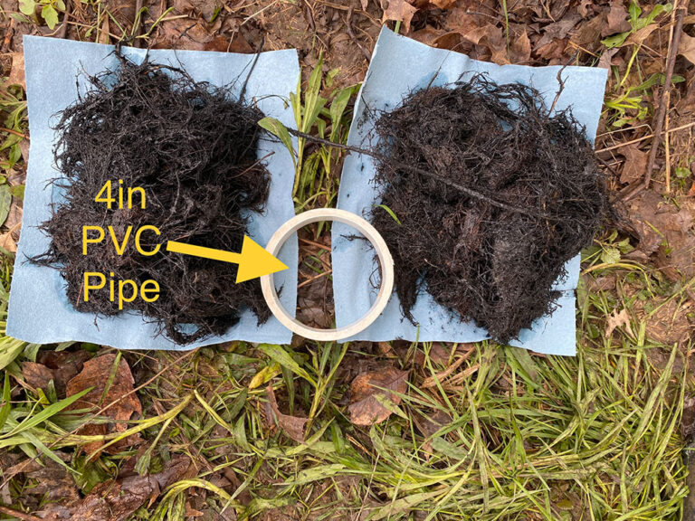 Drain Cleaning Services Near Me Central Drain Service